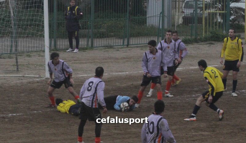 120310 stefanese 232y_tn.jpg